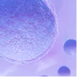 Poor Sperm Quality